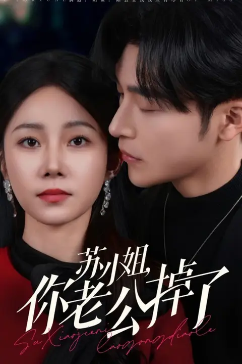 《苏小姐你老公掉了》封面