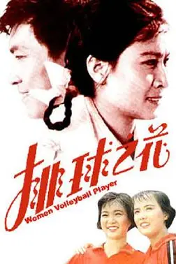 《排球之花》封面