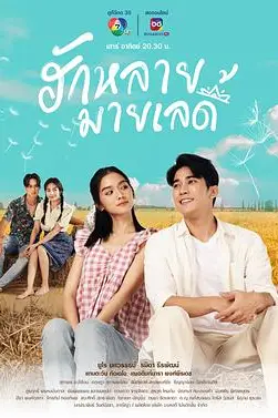 《亲爱的女士》封面