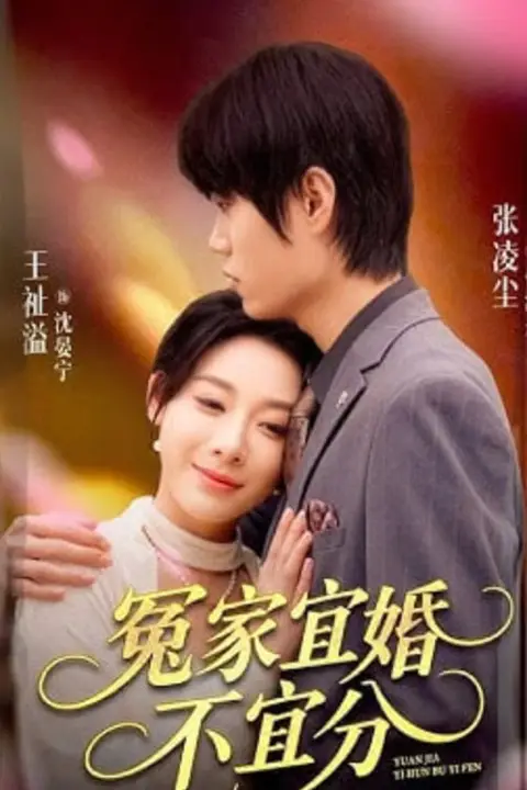 《冤家宜婚不宜分》封面