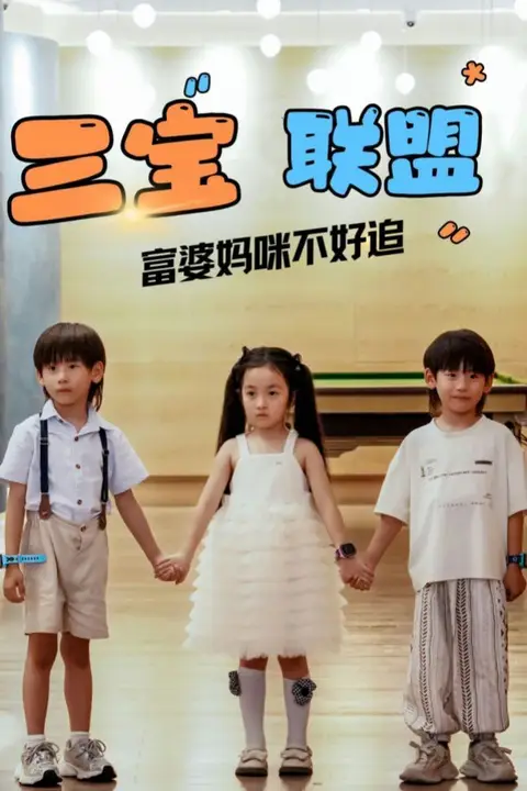 《三宝联盟富婆妈咪不好追》封面