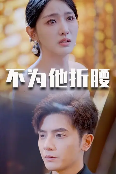 《不为他折腰》封面