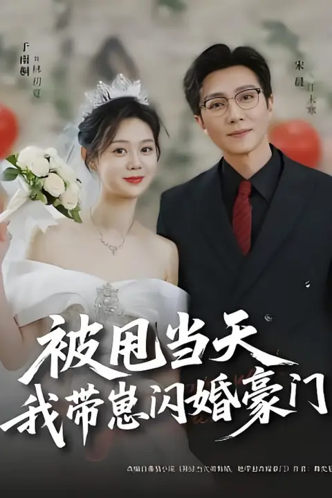《被甩当天我带崽闪婚豪门》封面