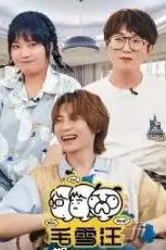 《毛雪汪 加更版》封面