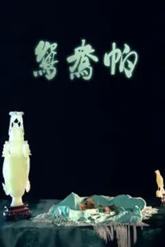《鸳鸯帕》封面