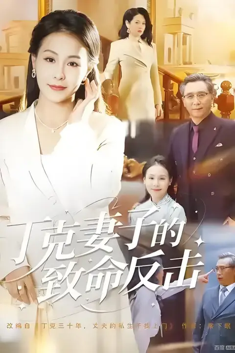 《丁克妻子的致命反击》封面