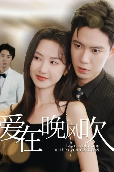 《爱在晚风吹》封面