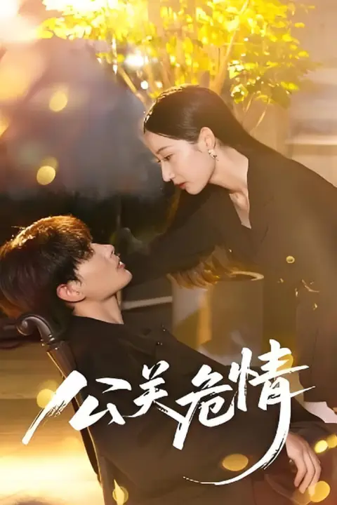 《公关危情》封面