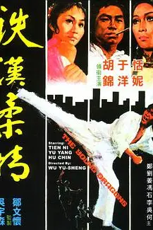 《铁汉柔情》封面