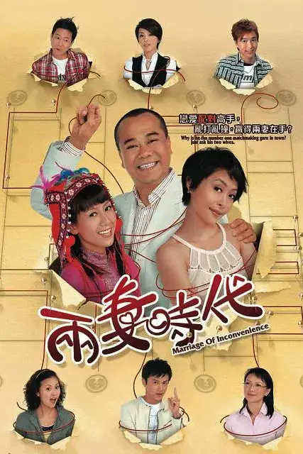 《两妻时代》封面
