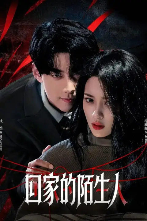 《回家的陌生人》封面