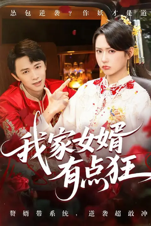 《我家女婿有点狂》封面