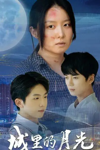 《城里的月光》封面