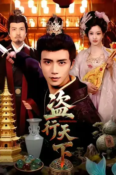 《盗行天下》封面