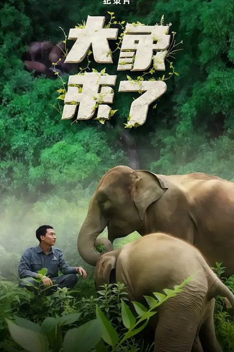 《大象来了》封面