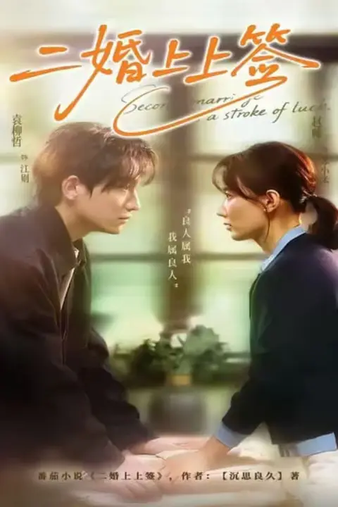 《二婚上上签》封面
