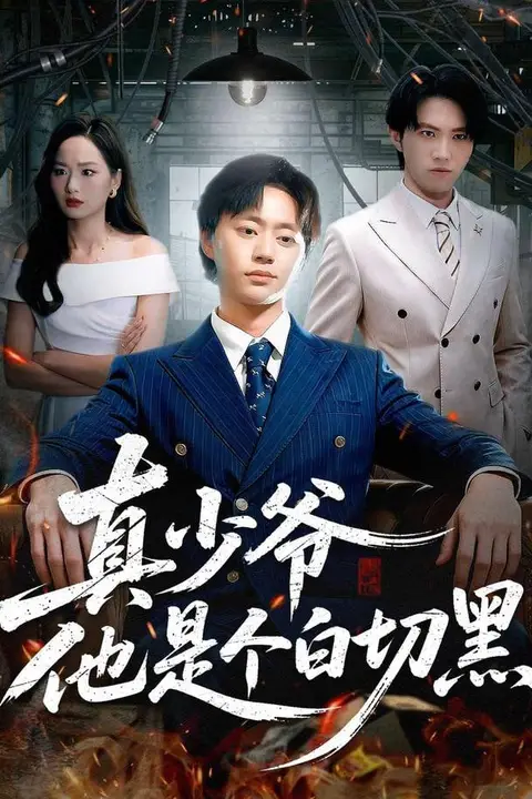 《真少爷他是个白切黑》封面