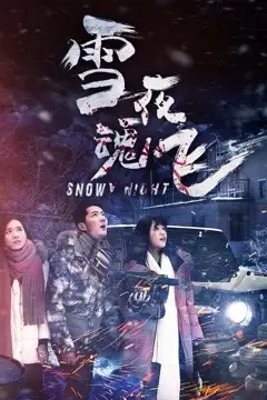 《雪夜魂飞》封面