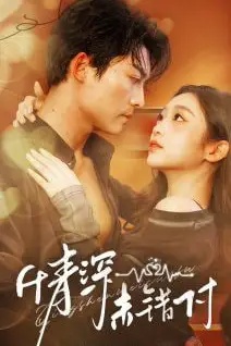 《深情未错付》封面