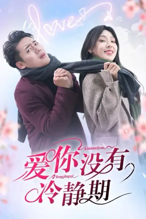 《爱你没有冷静期》封面