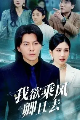 《我欲乘风卿且去》封面
