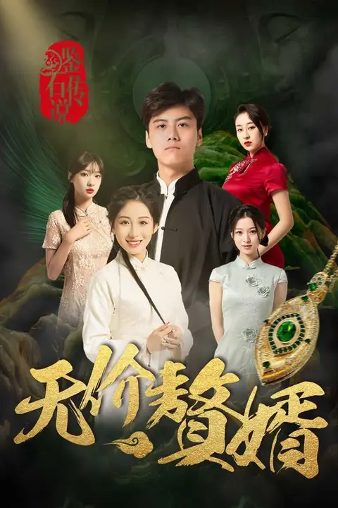 《鉴宝传说之无价赘婿》封面