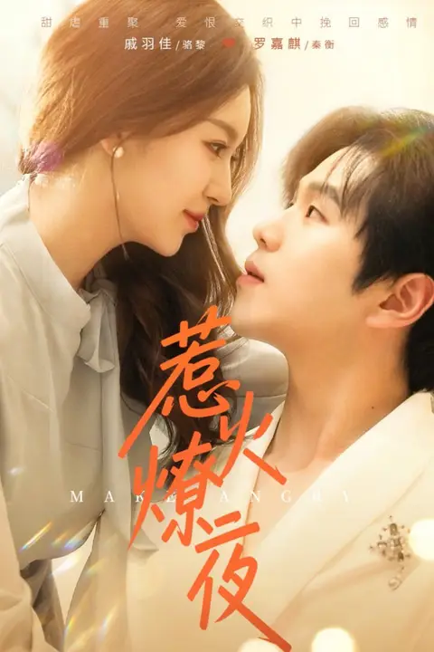 《惹火燎夜》封面