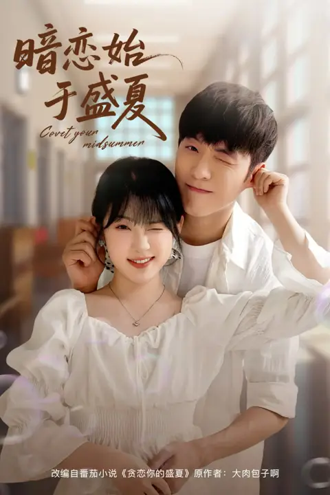 《暗恋始于盛夏》封面