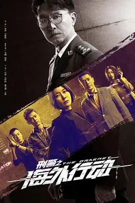 《刑警之海外行动》封面