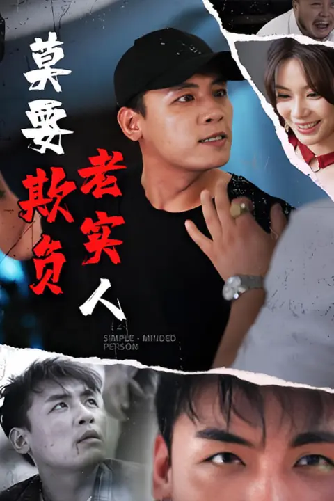 《莫要欺负老实人》封面