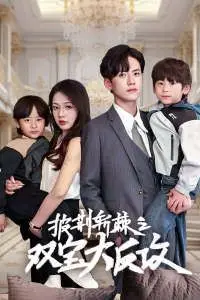 《披荆斩棘之双宝大反攻》封面