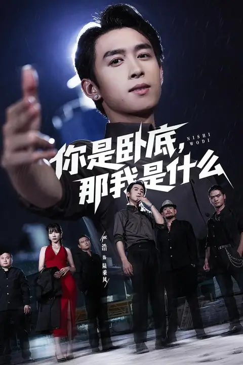 《你是卧底那我是什么》封面