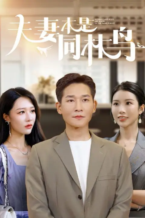 《夫妻本是同林鸟》封面
