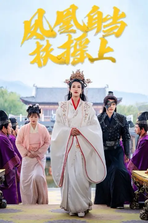 《凤凰自当扶摇之上》封面