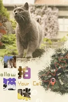 《跟拍猫咪》封面