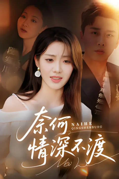 《奈何情深不渡》封面