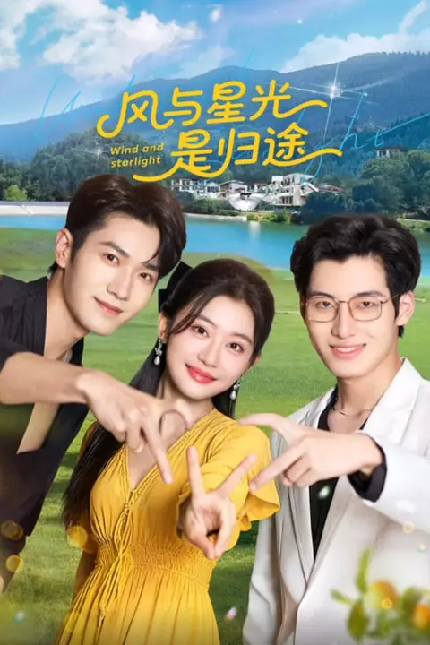 《风与星光是归途》封面