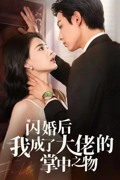 《闪婚后我成了大佬的掌中之物》封面