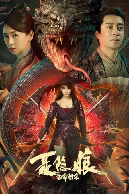 《聂隐娘之绝命刺杀》封面