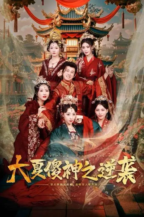 《大夏傻神之逆袭》封面
