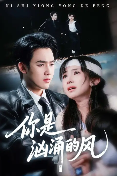 《你是汹涌的风》封面