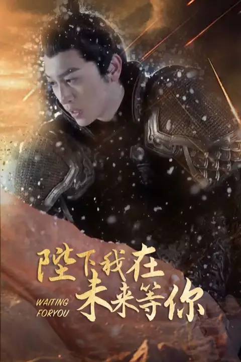 《陛下我在未来等你》封面