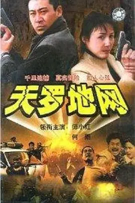 《天罗地网》封面