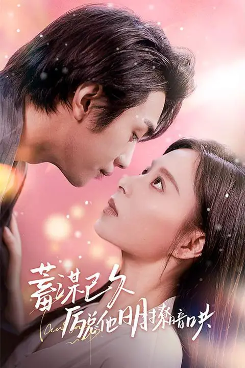 《蓄谋已久历总他明撩暗哄(历总夫人她又跑了)》封面