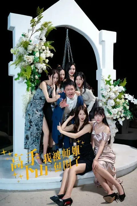 《高手下山，我被师姐包围了》封面