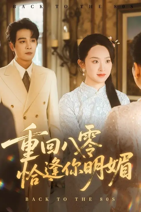 《重逢八零恰逢你的明媚》封面