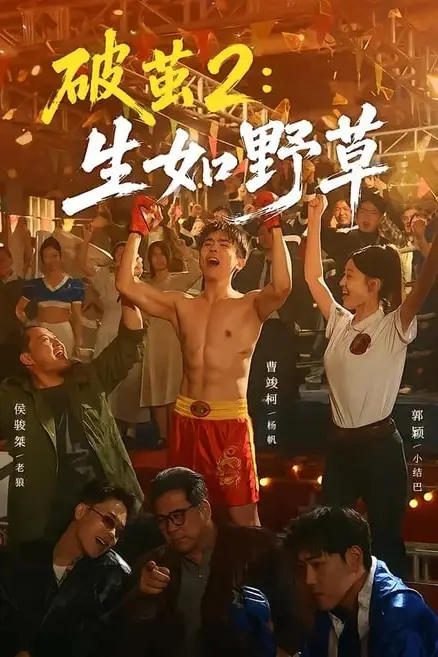 《破茧 2：生如野草》封面