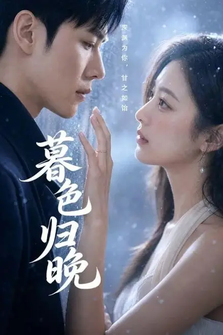 《暮晚而归》封面