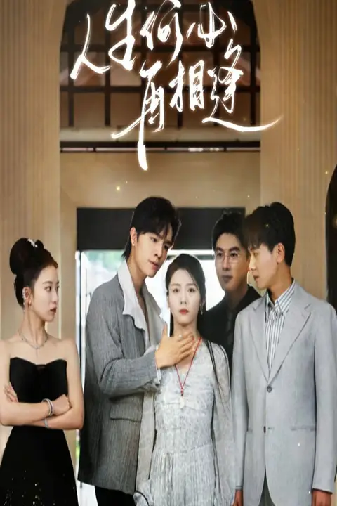 《人生何必再相逢》封面