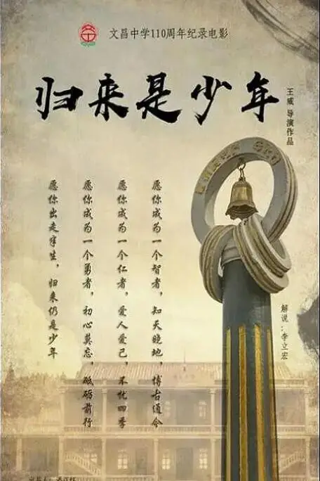《归来是少年》封面